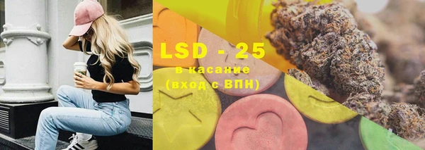 ГАЛЛЮЦИНОГЕННЫЕ ГРИБЫ Балабаново