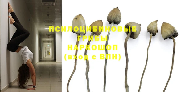 ГАЛЛЮЦИНОГЕННЫЕ ГРИБЫ Балабаново