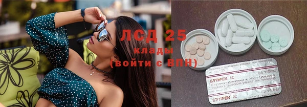 ГАЛЛЮЦИНОГЕННЫЕ ГРИБЫ Балабаново