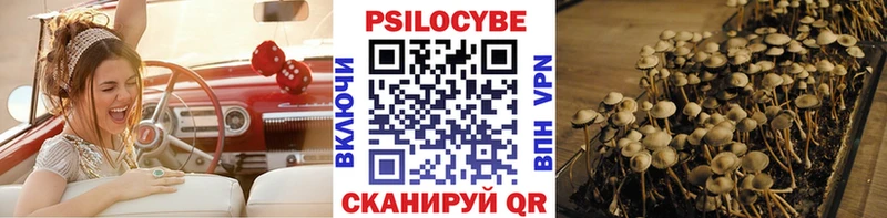 Псилоцибиновые грибы прущие грибы  MEGA ссылки  Новодвинск 